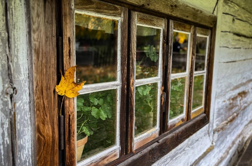 logo muzeum pierwszych piastów na Lednicy