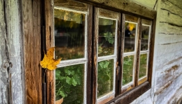 logo muzeum pierwszych piastów na Lednicy