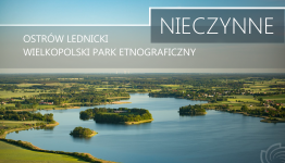 Zdjęcie wyspy Ostrów Lednicki z lotu ptaka, jezioro, zieleń na polach 