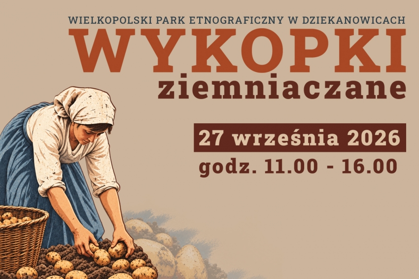 Grafika - wykopki. Na zdjęciu postać kobiety  z ziemniakami.