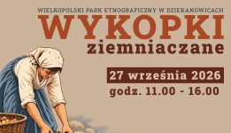 Grafika - wykopki. Na zdjęciu postać kobiety  z ziemniakami.